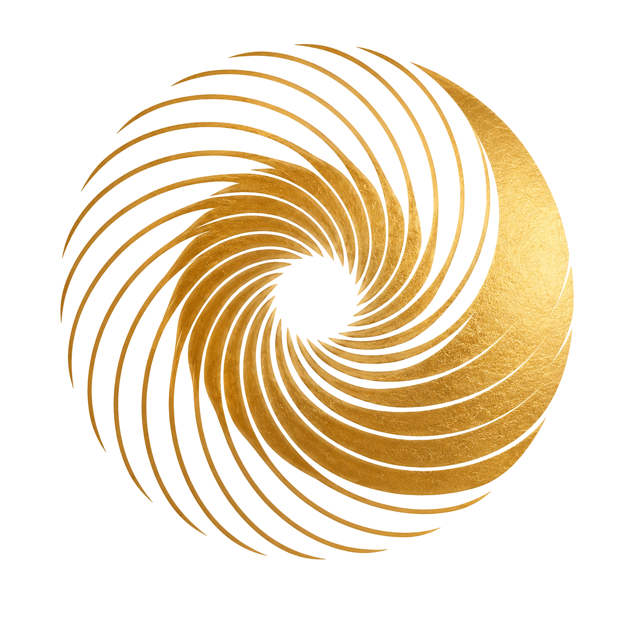 VortexKey Logo
