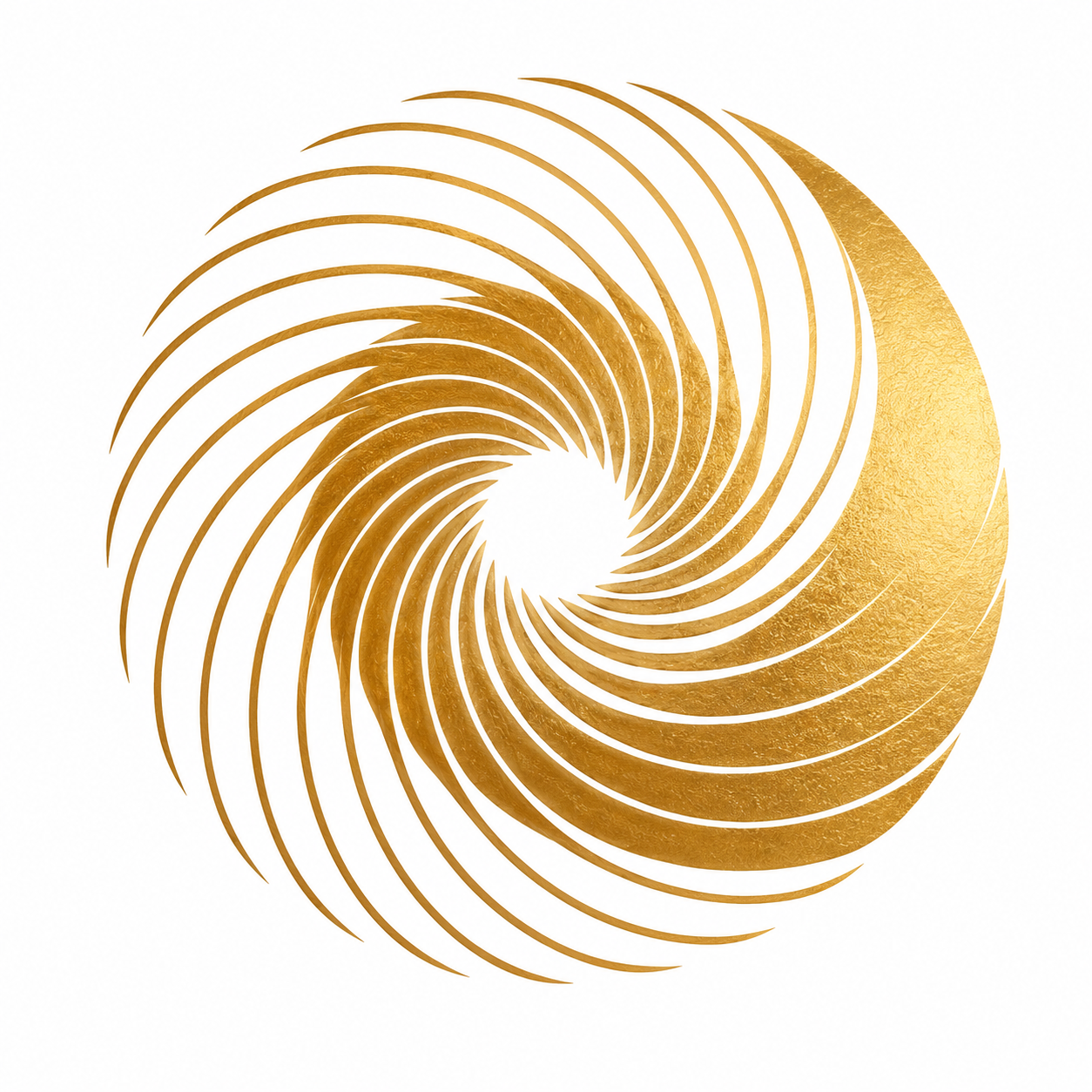VortexKey Logo
